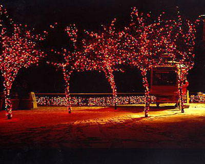 Holiday Lighting Services Prosper, TX